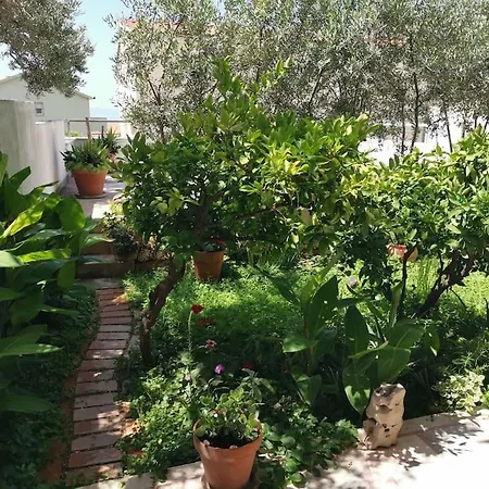 Happy Summertime Garden * Makarska