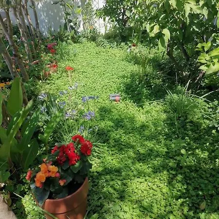 Happy Summertime Garden Apartment Makarska