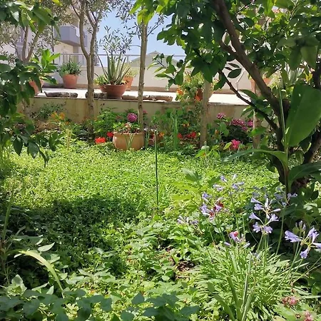 Happy Summertime Garden Apartment *