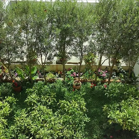 Happy Summertime Garden Makarska